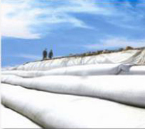 Geotextile Liner Manufacturing Line